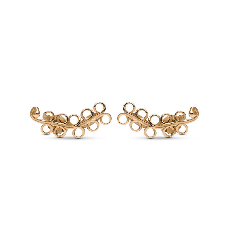 Glicine - Oro Giallo